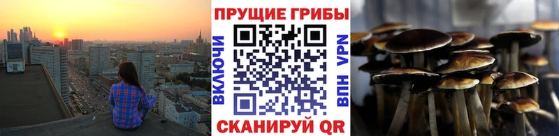 OMG ссылки  даркнет сайт  Янаул  Псилоцибиновые грибы MAGIC MUSHROOMS 